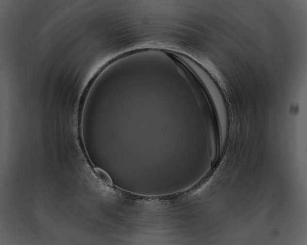 X0000091710896200708241244