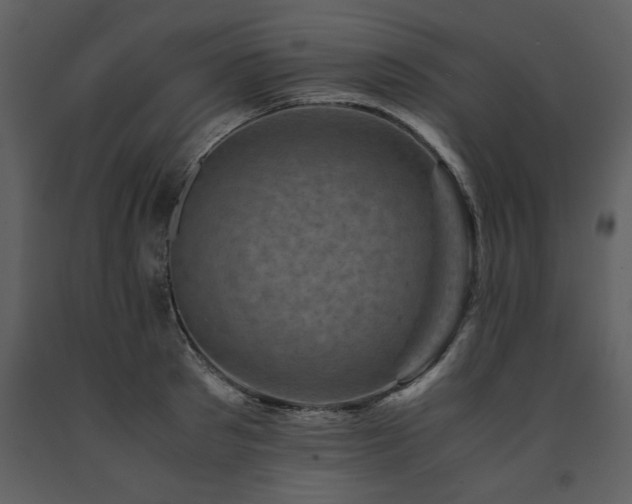 X0000091710897200708241244