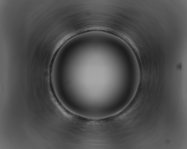 X0000091710898200708241244