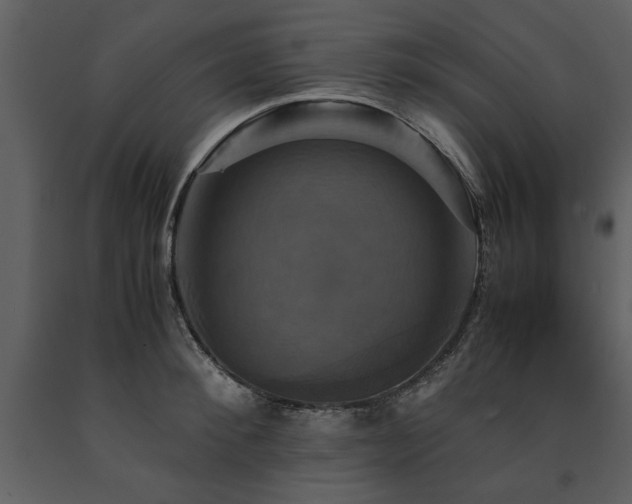 X0000091710900200708241244
