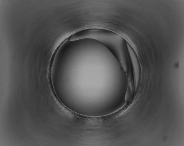 X0000091710901200708241244