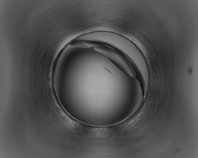 X0000091710902200708241244