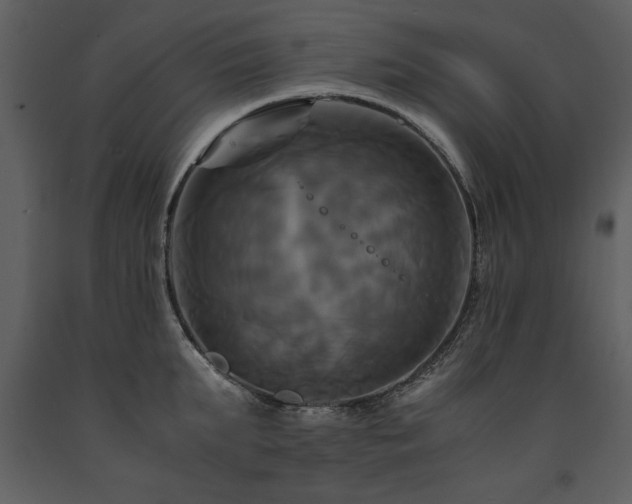 X0000091710903200708241244