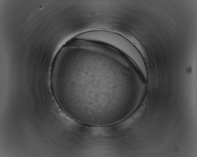 X0000091710904200708241244
