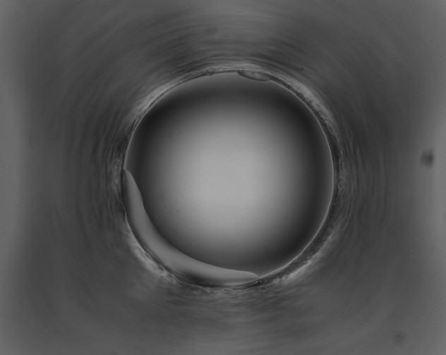 X0000091710905200708241244