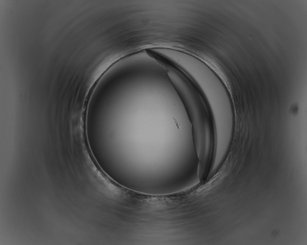 X0000091710906200708241244