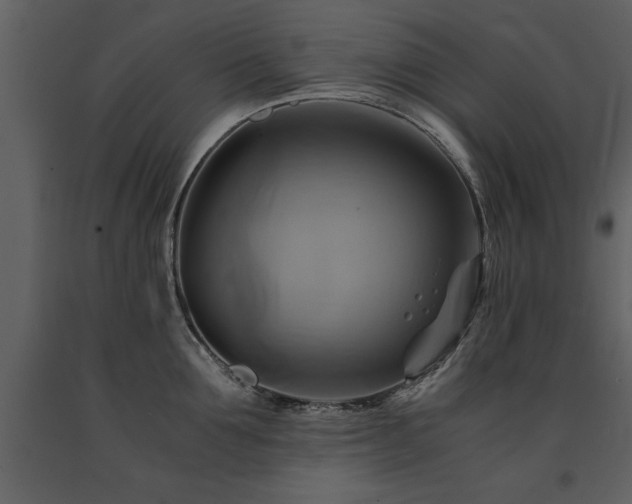 X0000091710907200708241244
