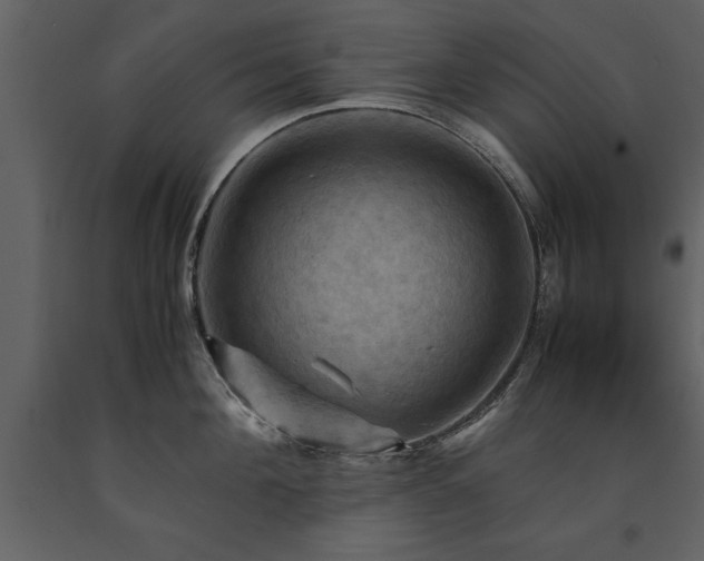 X0000091710908200708241244