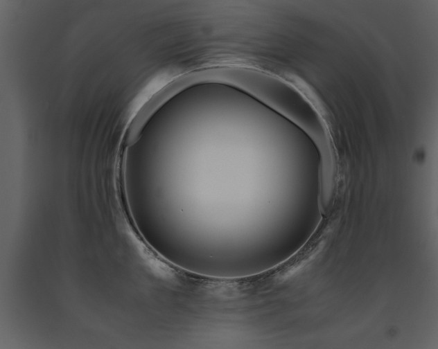 X0000091710909200708241244