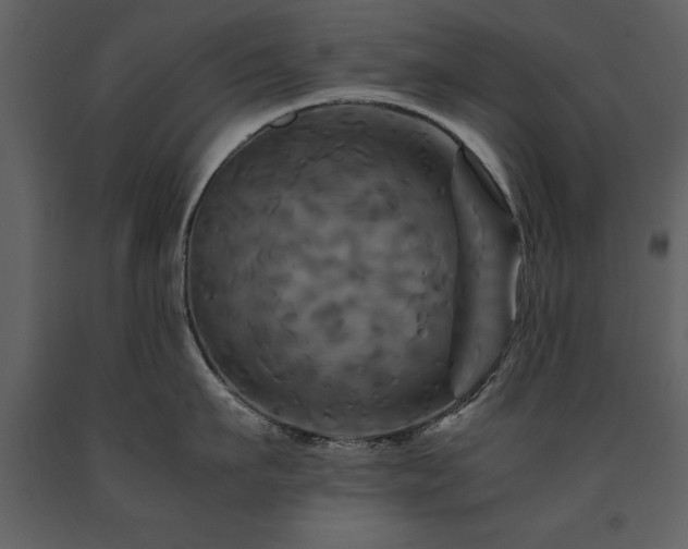 X0000091710911200708241244