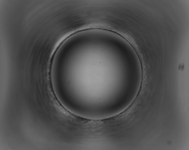 X0000091710912200708241243