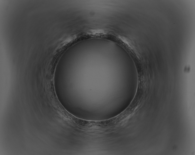 X0000091710913200708241243
