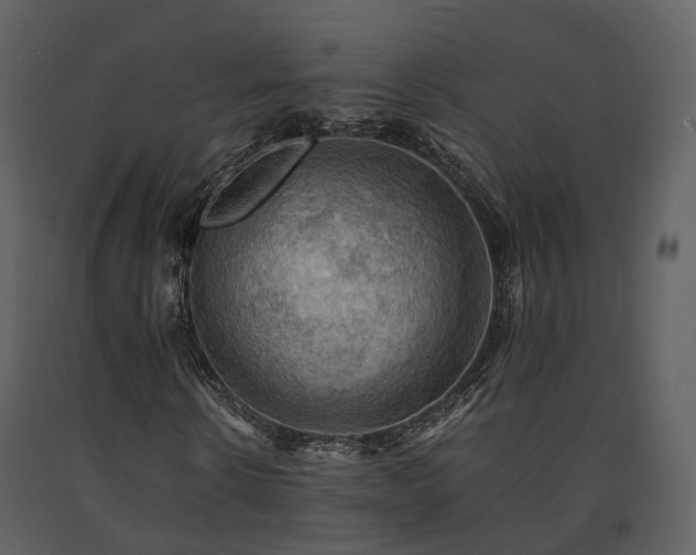 X0000091710914200708241243