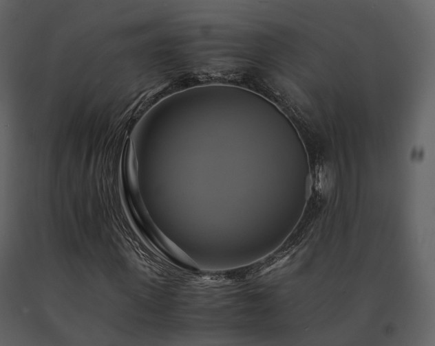 X0000091710915200708241243