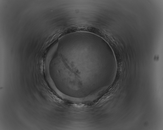 X0000091710916200708241243