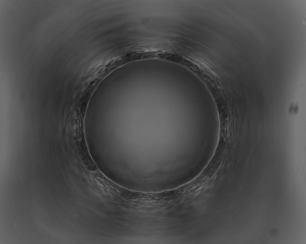 X0000091710917200708241243