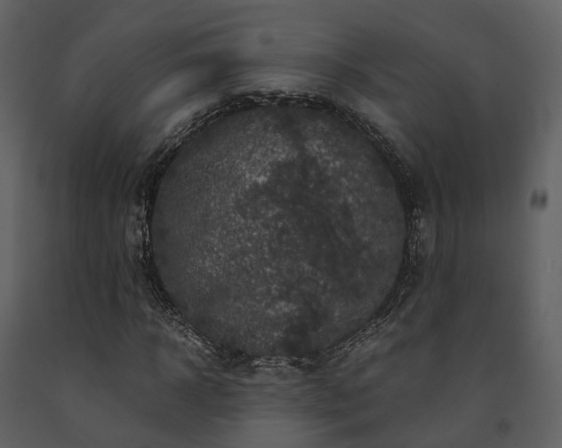 X0000091710918200708241243