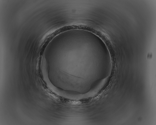 X0000091710920200708241243