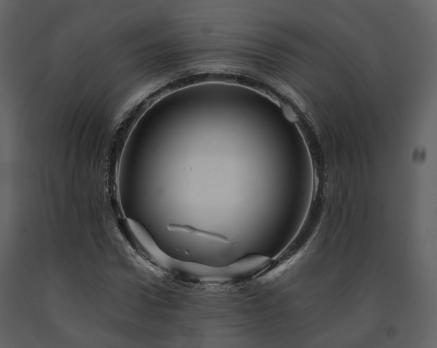 X0000091710922200708241243