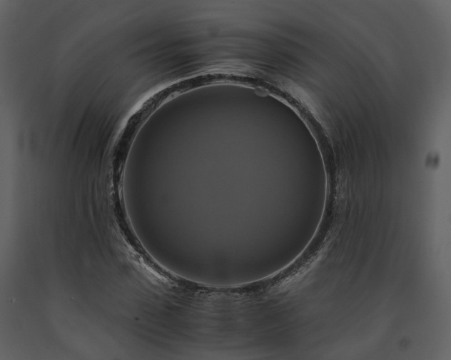 X0000091710923200708241243