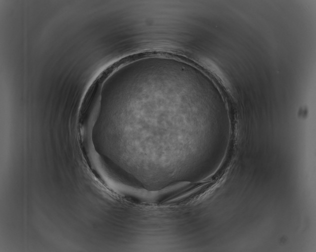 X0000091710924200708241243