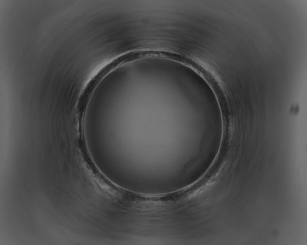 X0000091710925200708241243
