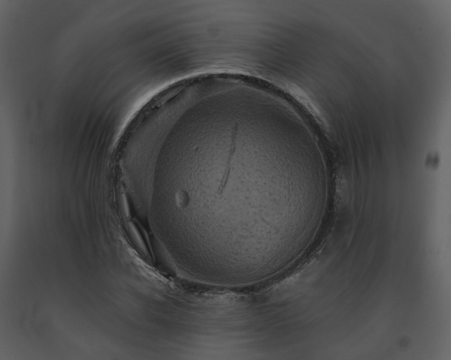 X0000091710926200708241243
