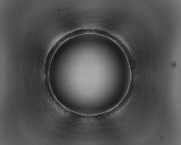 X0000091710927200708241243