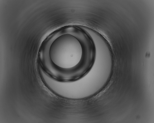 X0000091710928200708241243