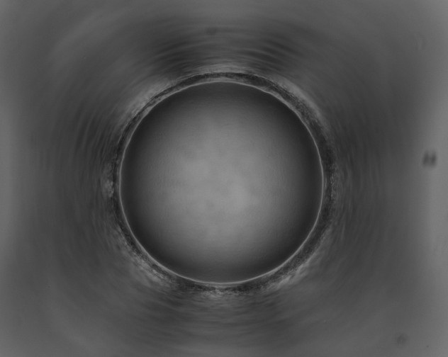 X0000091710929200708241243
