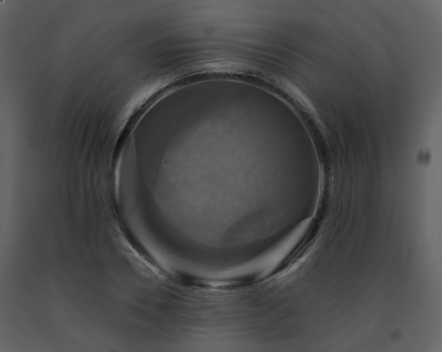 X0000091710930200708241243