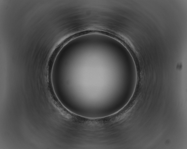 X0000091710931200708241243