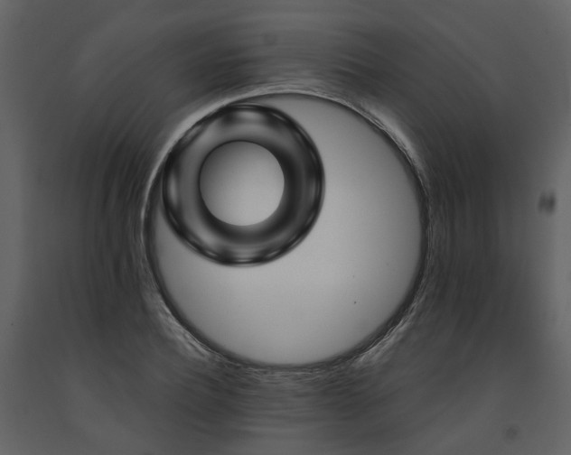X0000091710932200708241243
