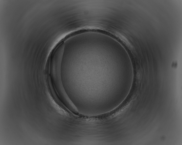 X0000091710934200708241243