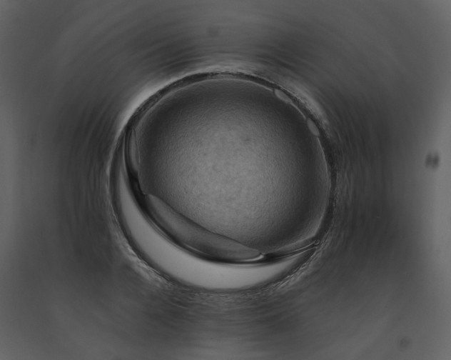 X0000091710936200708241243