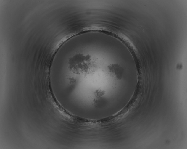 X0000091710937200708241243
