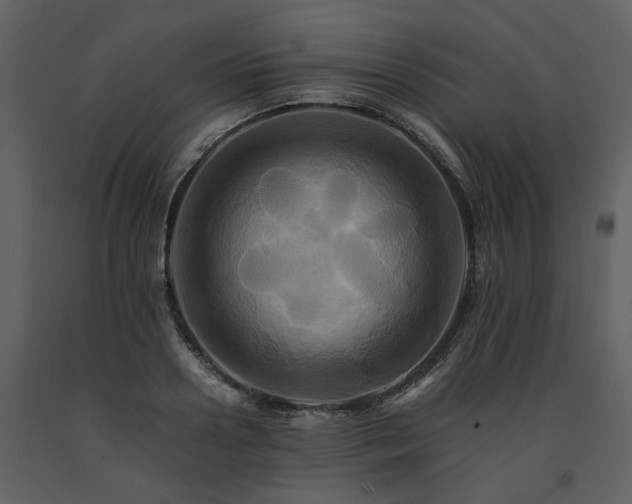 X0000091710938200708241243