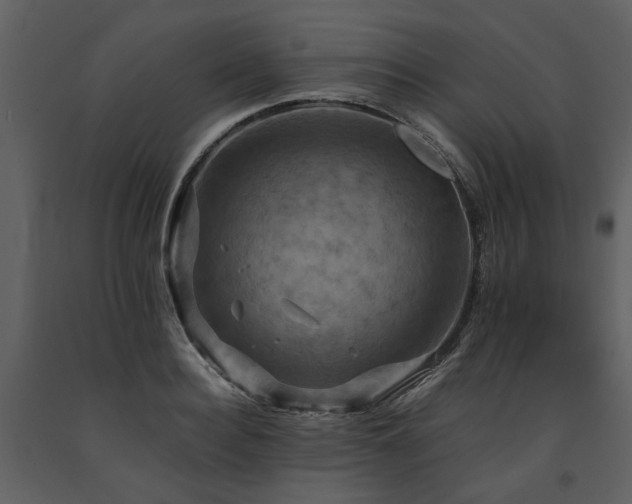 X0000091710940200708241243