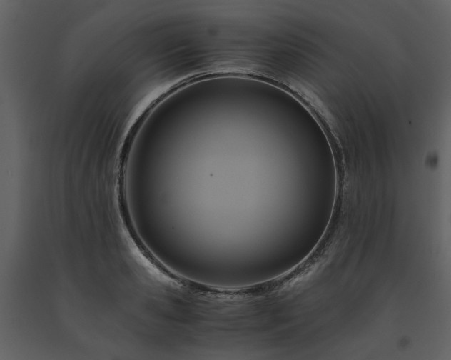 X0000091710941200708241243