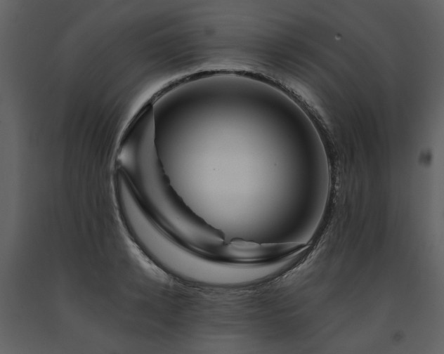 X0000091710942200708241243