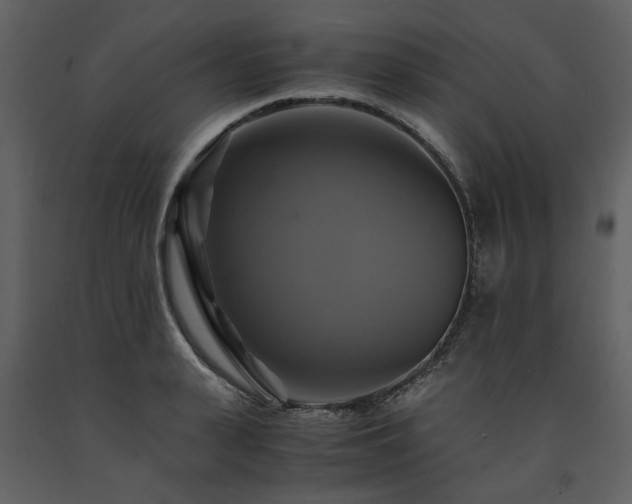 X0000091710943200708241243