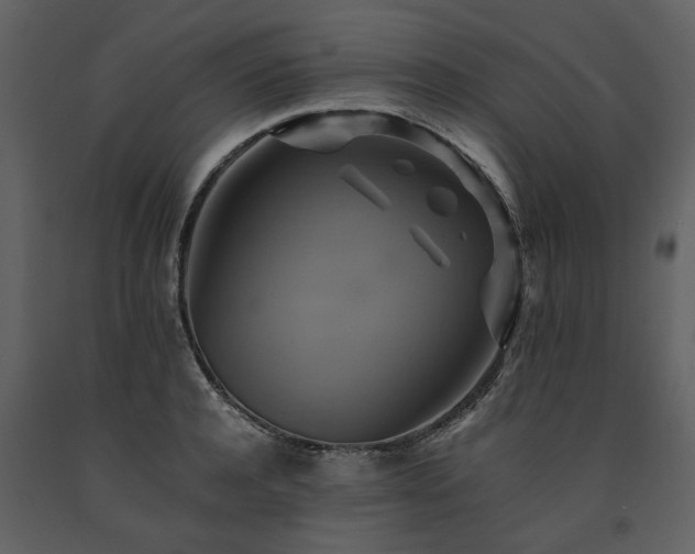 X0000091710944200708241243