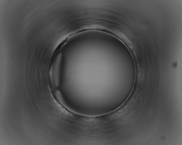 X0000091710945200708241243