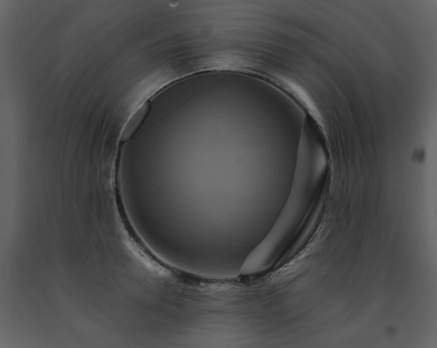 X0000091710946200708241243
