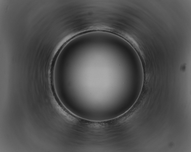 X0000091710947200708241243
