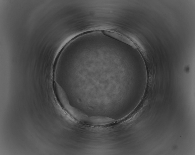 X0000091710948200708241243