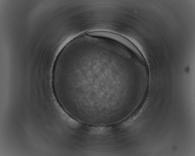 X0000091710949200708241243