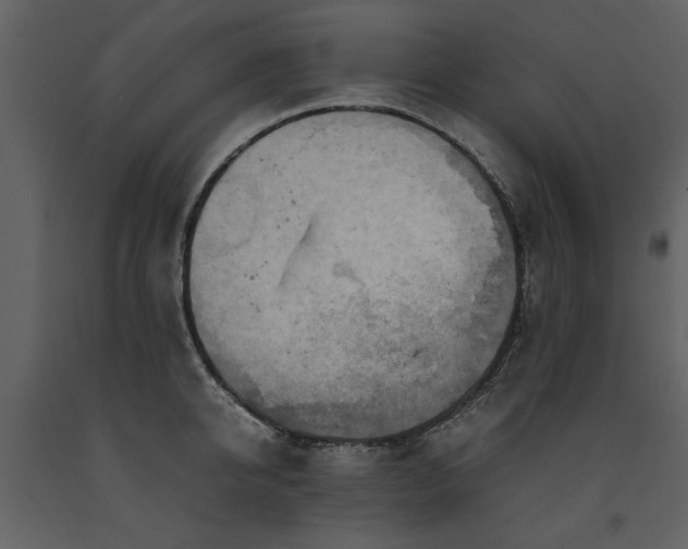 X0000091710950200708241243