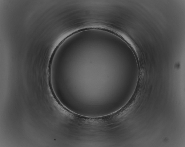 X0000091710951200708241243
