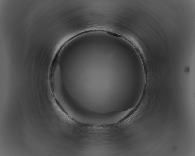 X0000091710952200708241243